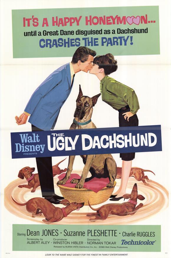 Постер фильма Гадкая такса | Ugly Dachshund