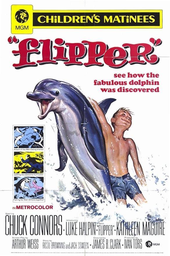 Постер фильма Flipper