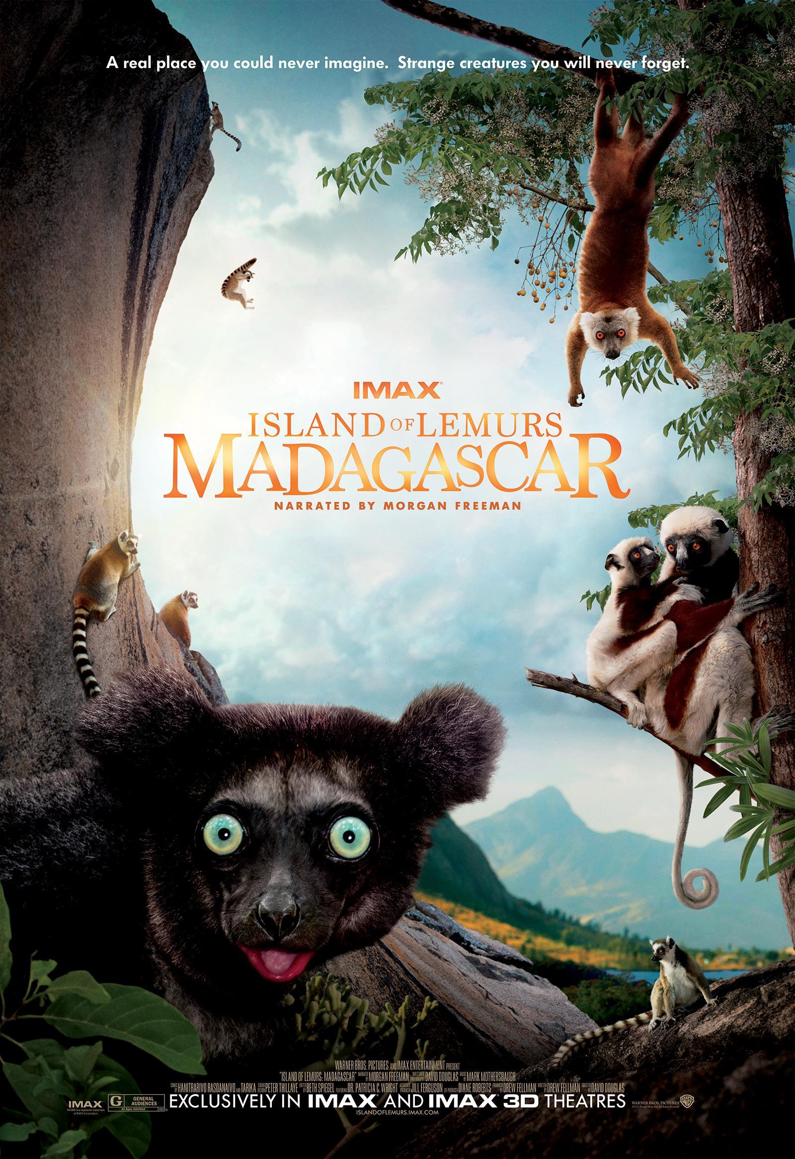 Постер фильма Остров лемуров: Мадагаскар | Island of Lemurs: Madagascar