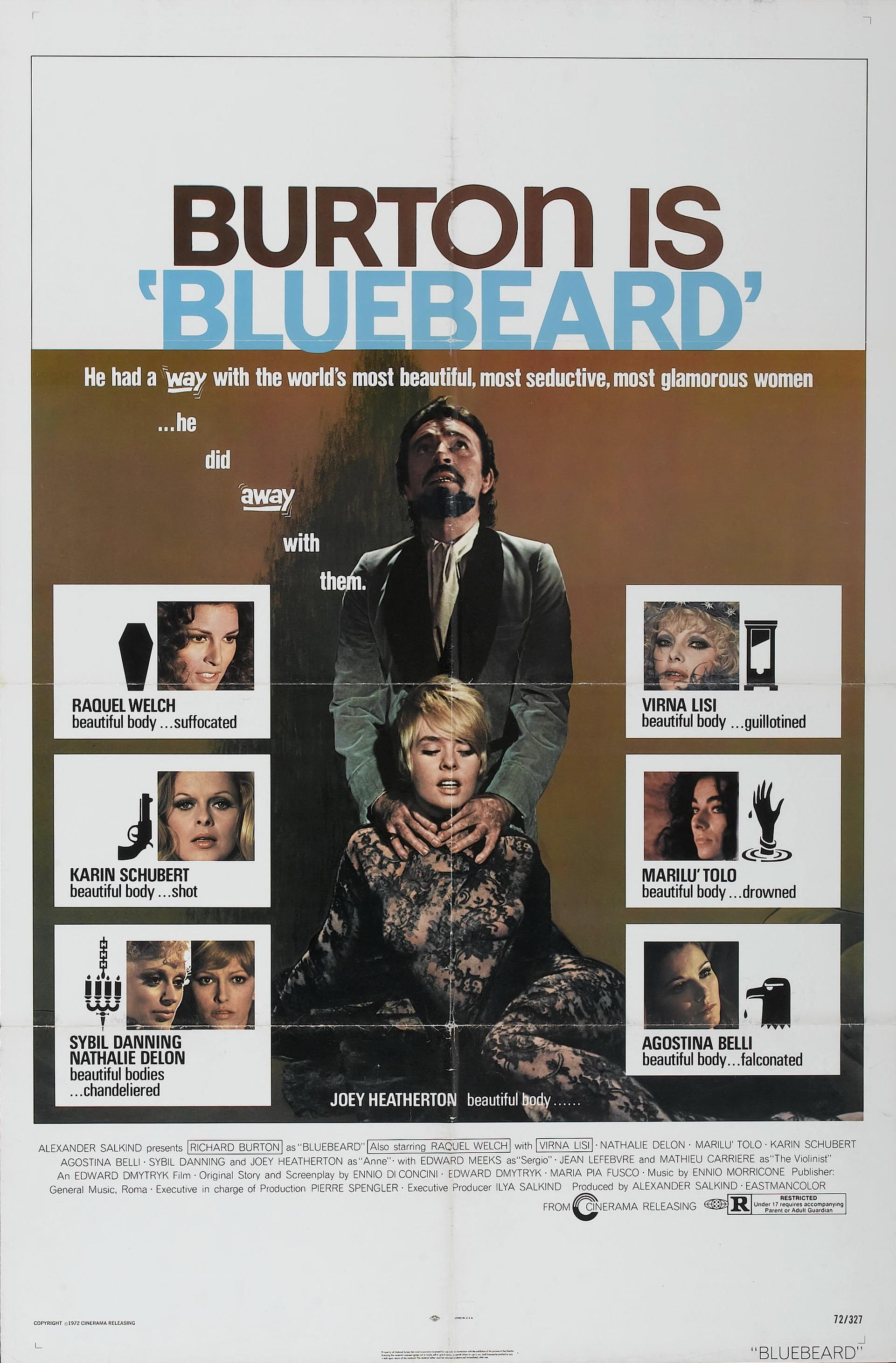 Постер фильма Синяя борода | Bluebeard