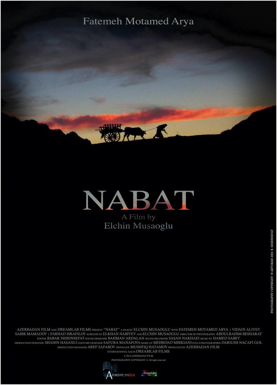 Постер фильма Набат | Nabat