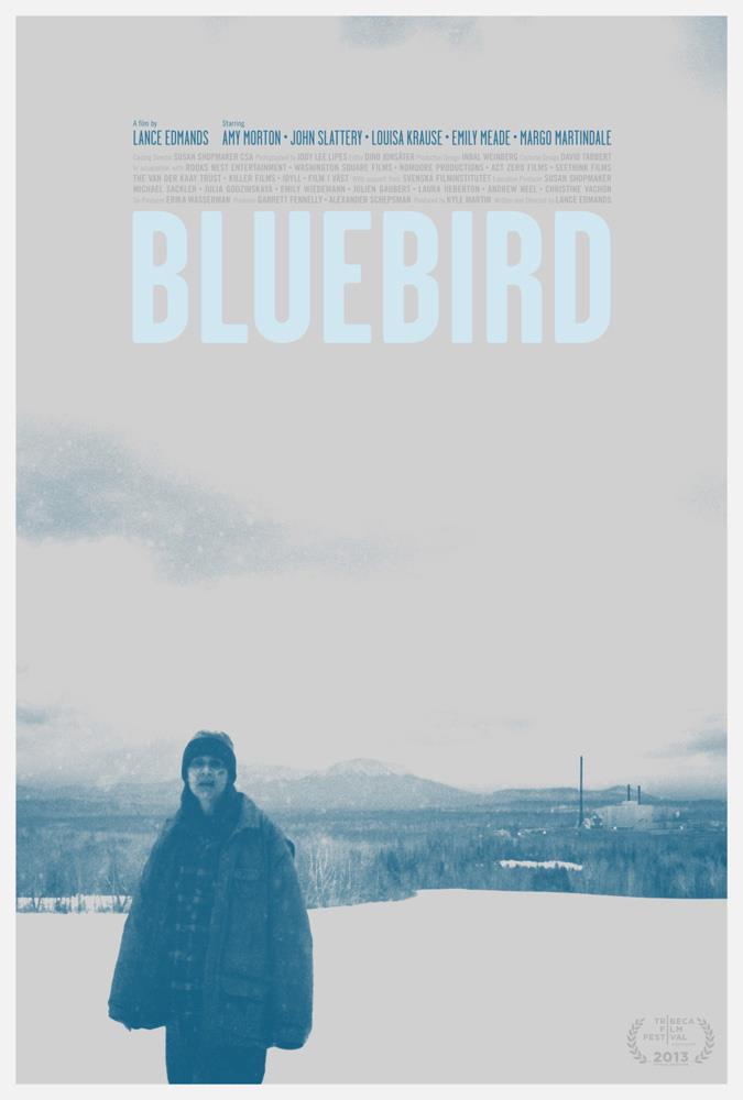 Постер фильма Синяя птица | Bluebird