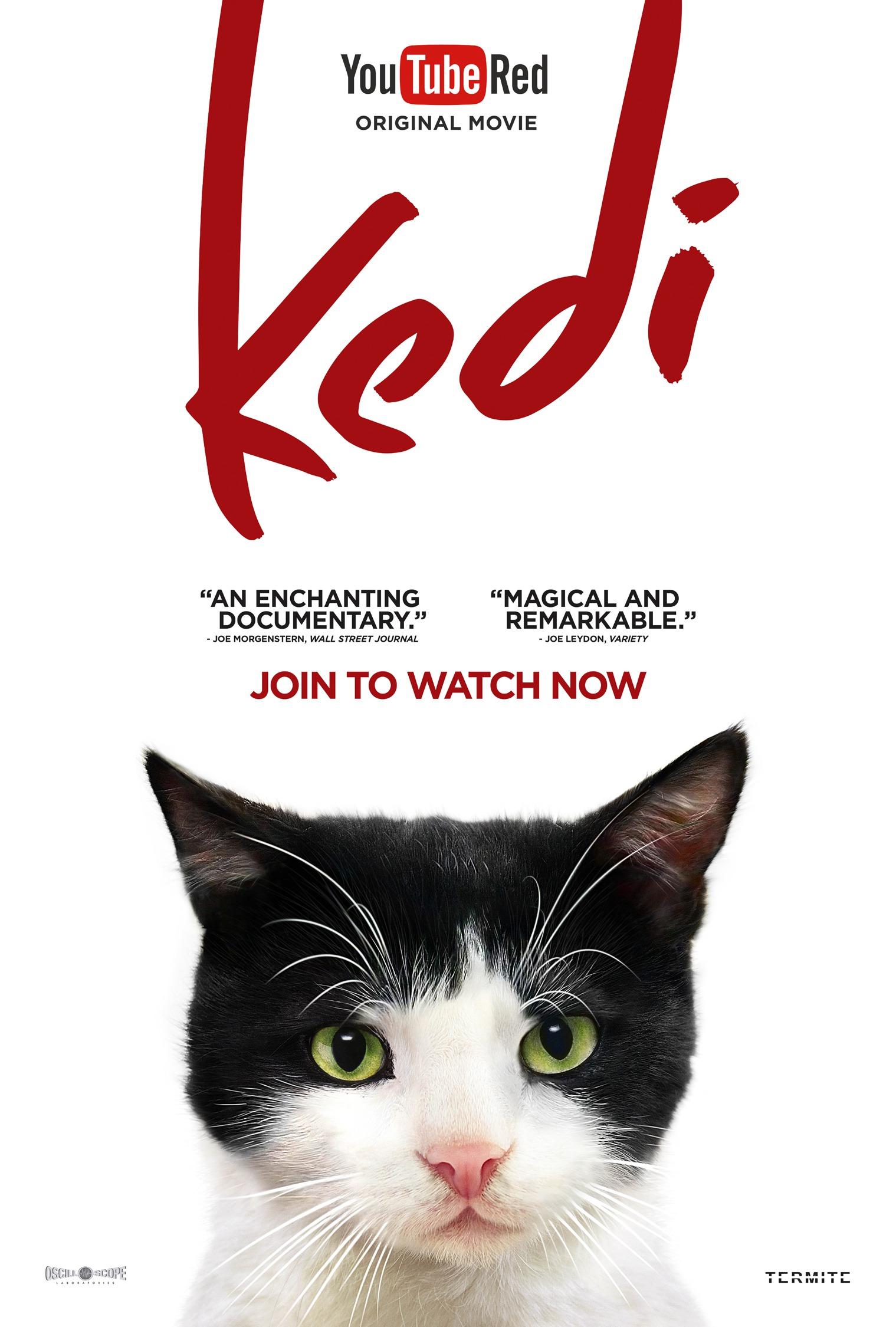 Постер фильма Город кошек | Kedi