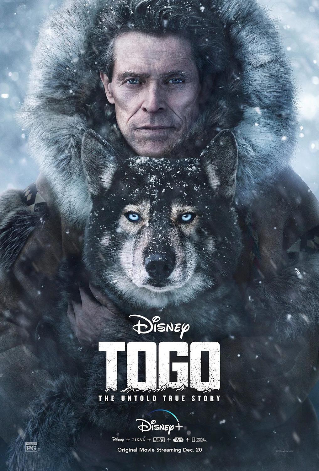 Постер фильма Того | Togo
