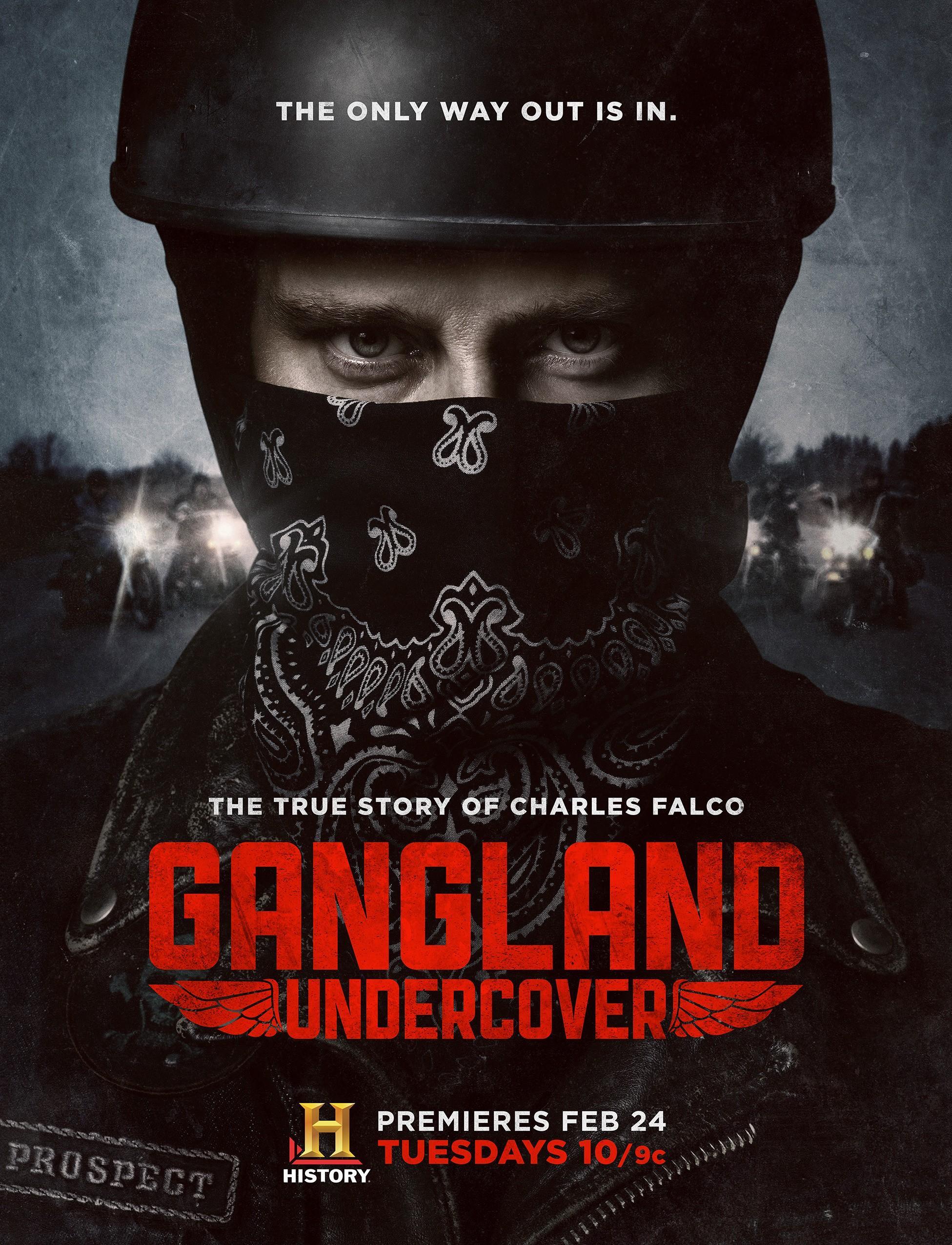 Постер фильма Под прикрытием | Gangland Undercover