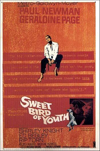 Постер фильма Сладкоголосая птица юности | Sweet Bird of Youth