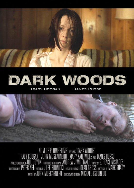 Постер фильма Темный лес | Dark Woods