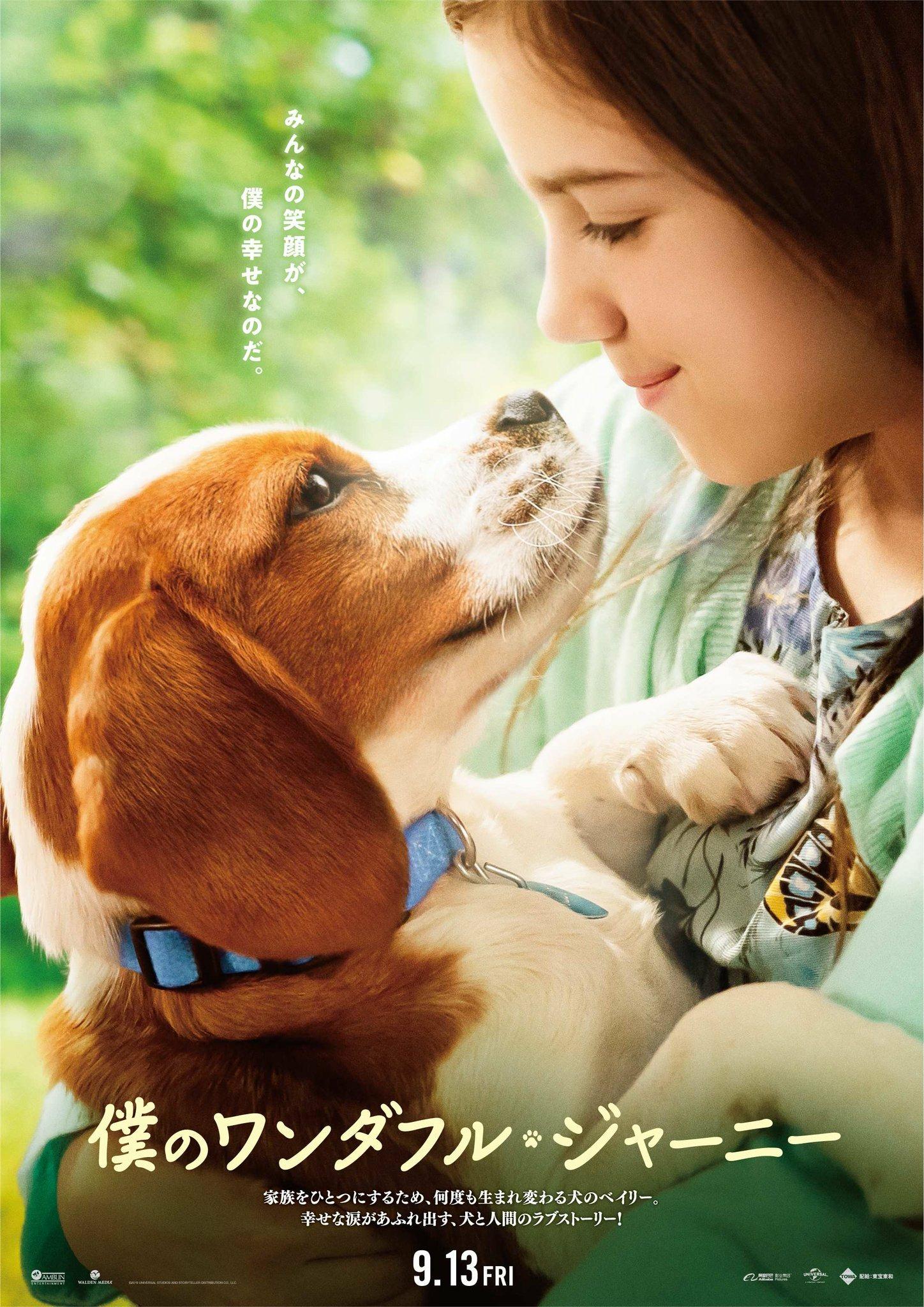 Постер фильма Собачья жизнь 2 | A Dog's Journey 