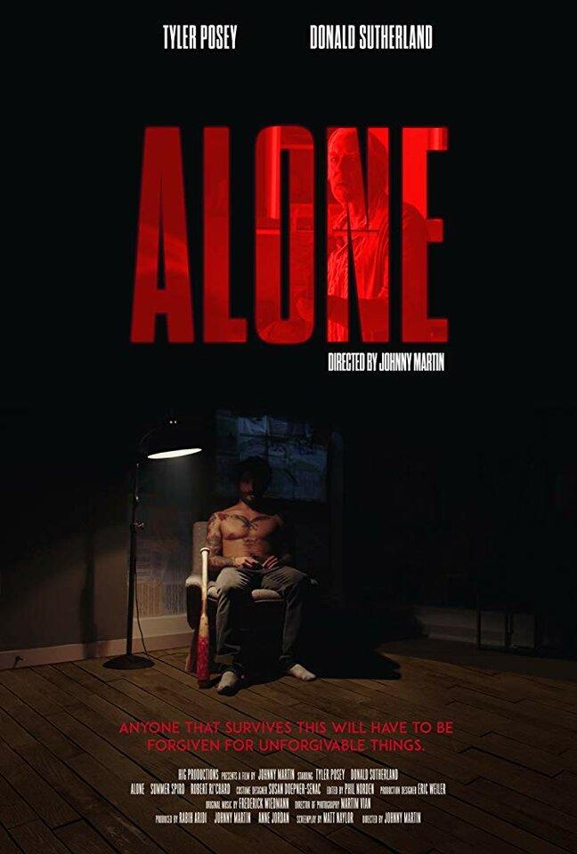 Постер фильма Дом Z | Alone
