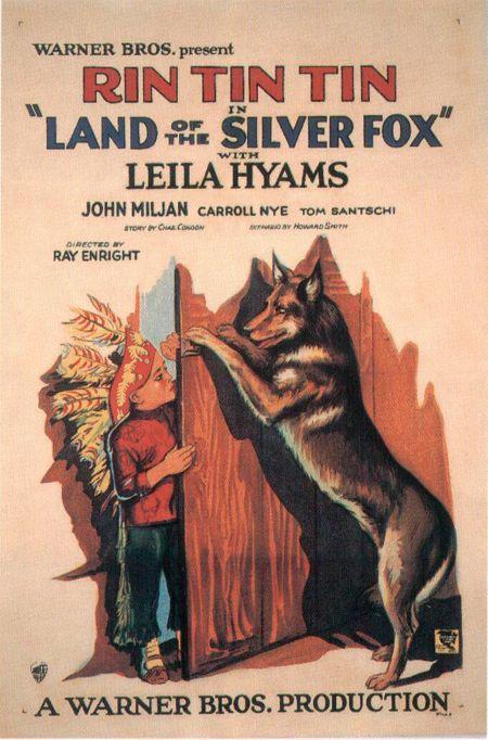 Постер фильма Land of the Silver Fox