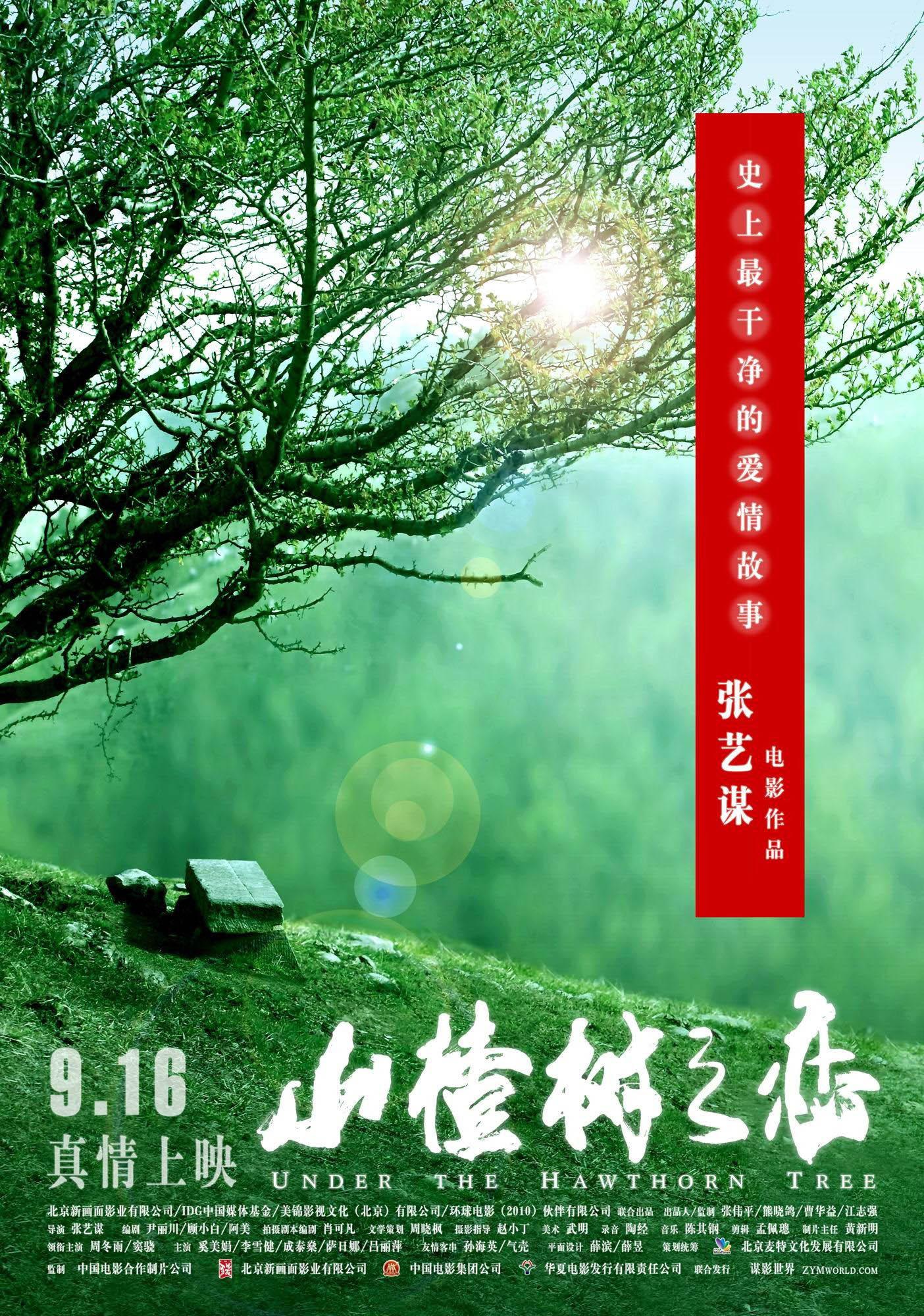 Постер фильма Под ветвями боярышника | Shan zha shu zhi lian