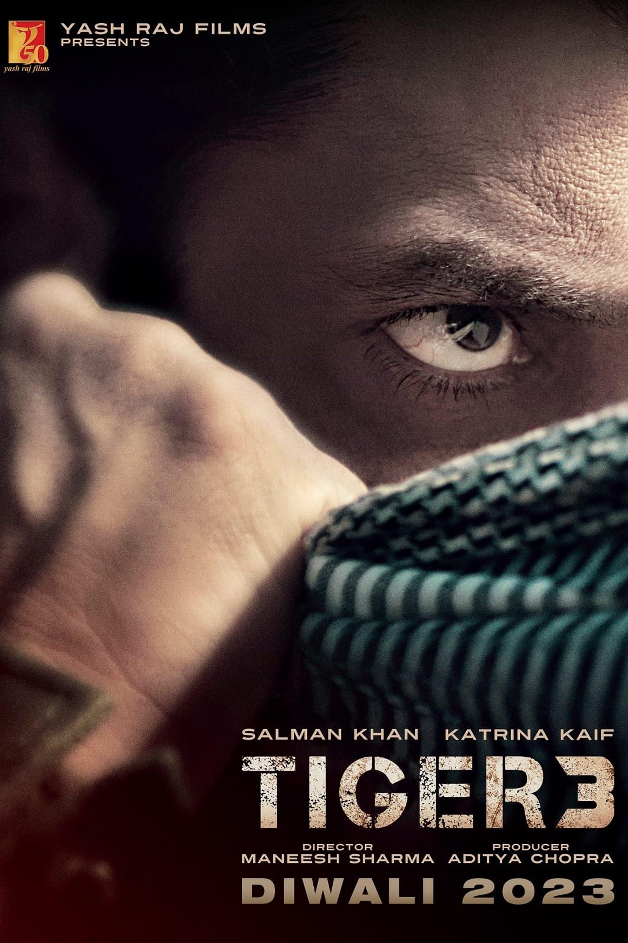 Постер фильма Тигр 3 | Tiger 3