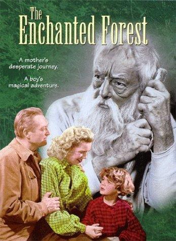 Постер фильма Enchanted Forest