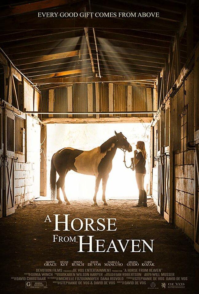 Постер фильма Сердце чемпиона | A Horse from Heaven