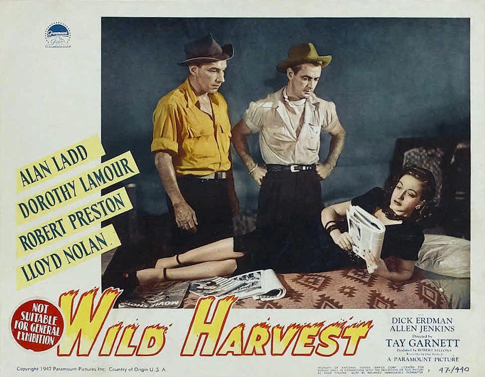Постер фильма Wild Harvest
