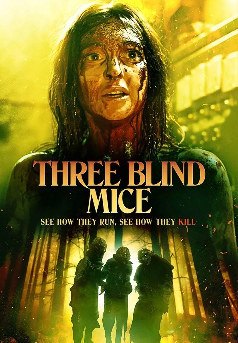 Постер фильма Три слепых мышки | Three Blind Mice