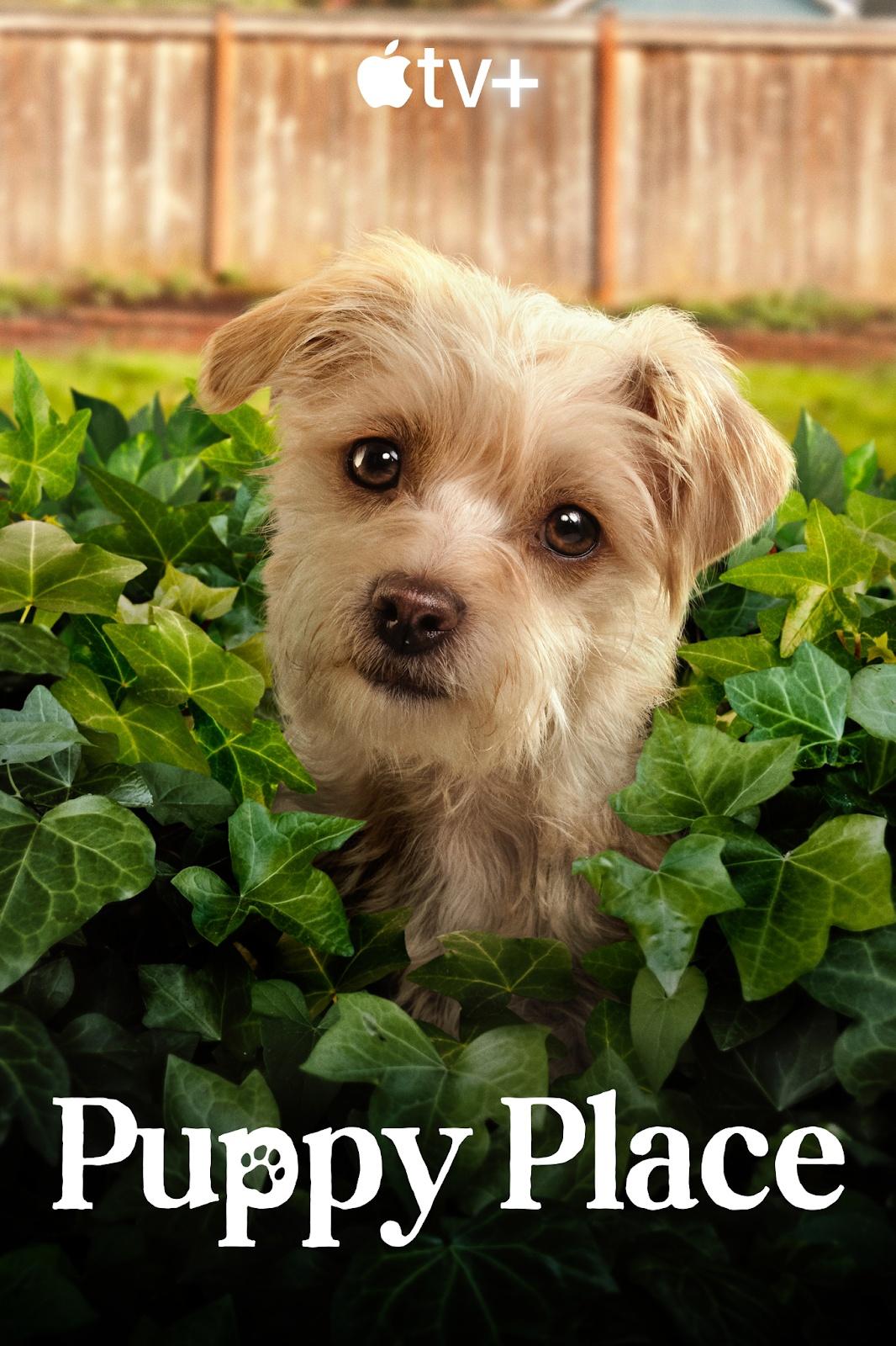 Постер фильма Щенячье счастье | Puppy Place