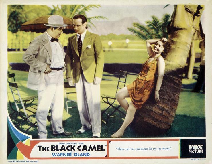 Постер фильма Черный верблюд | Black Camel
