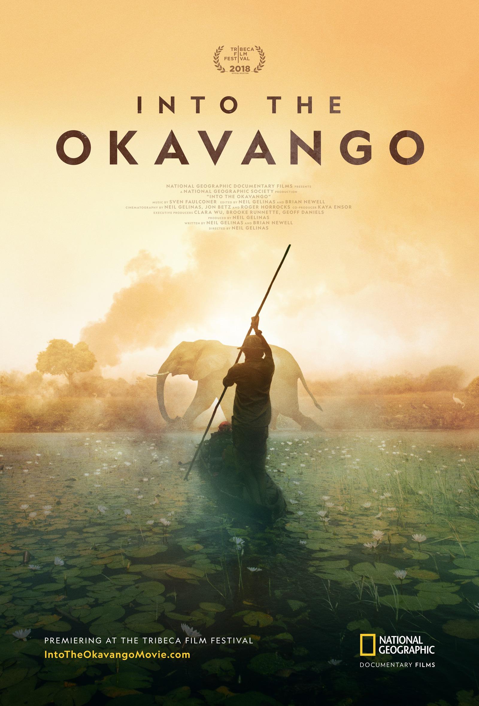 Постер фильма Into The Okavango 