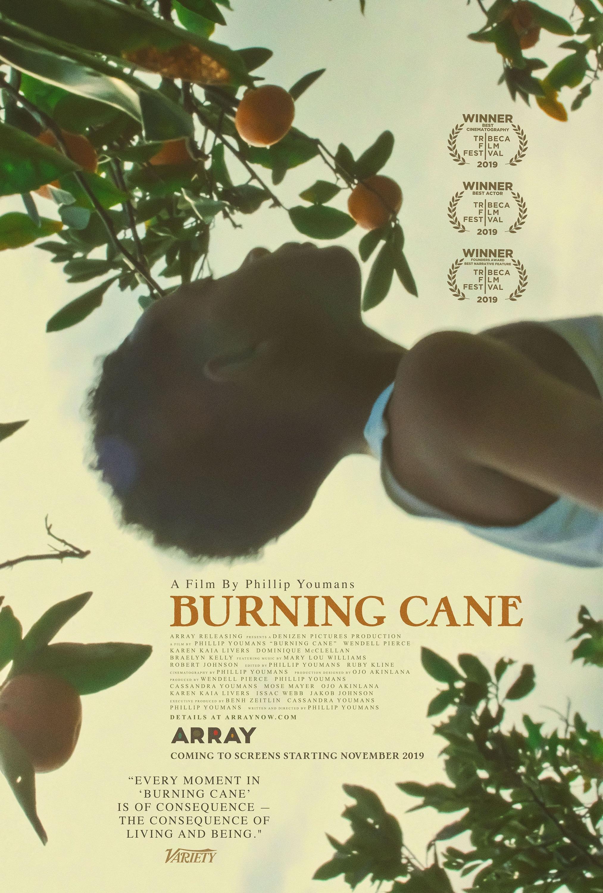 Постер фильма Burning Cane