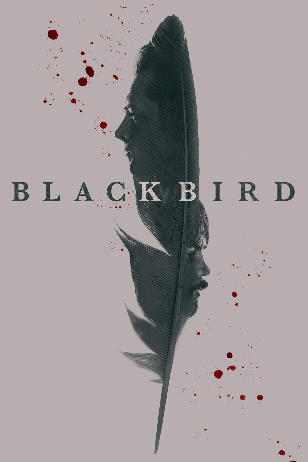 Постер фильма Чёрная птица | Black Bird