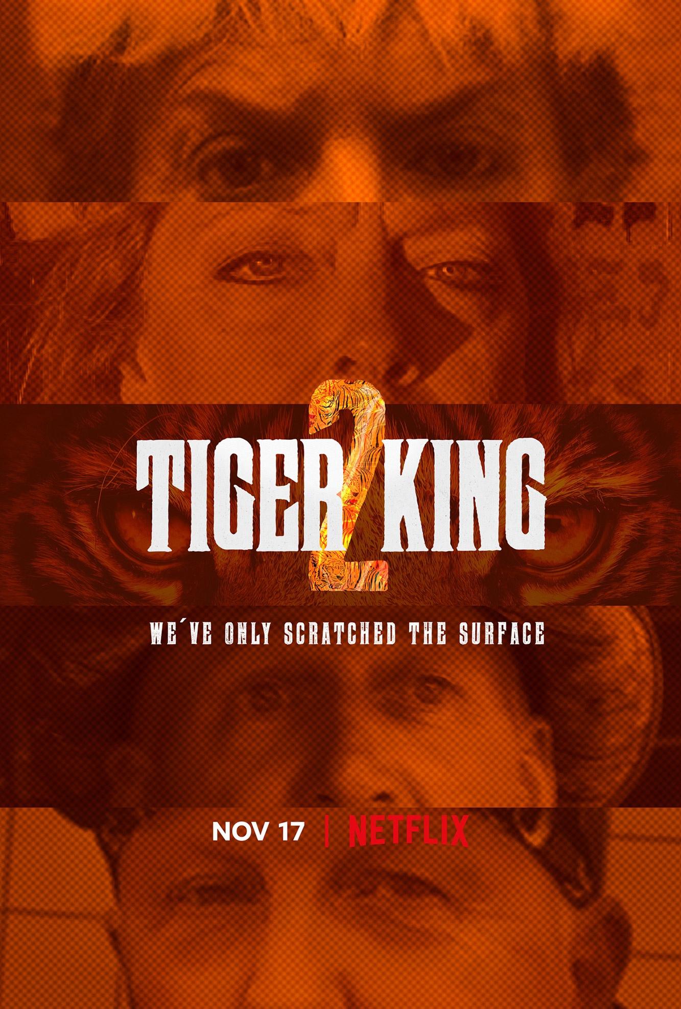 Постер фильма Король тигров | Tiger King: Murder, Mayhem and Madness
