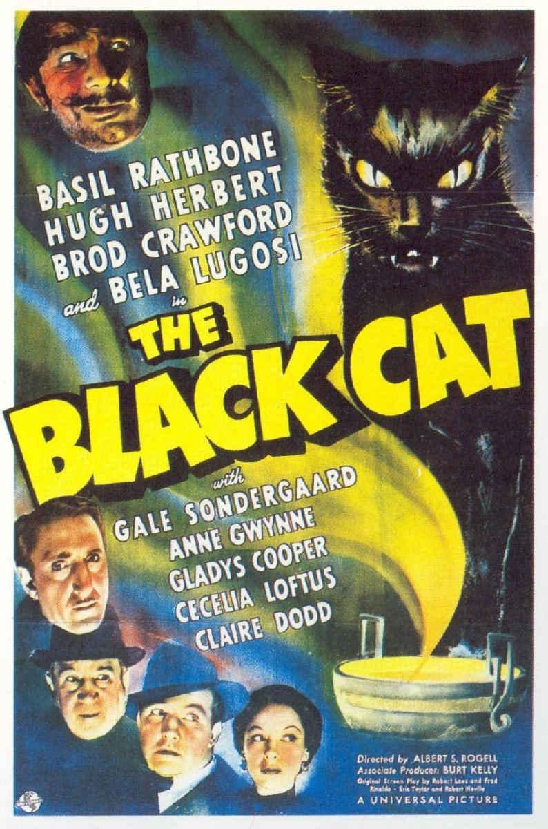 Постер фильма Черная кошка | Black Cat