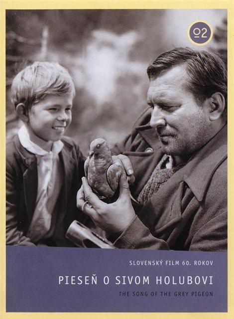 Постер фильма Piesen o sivom holubovi