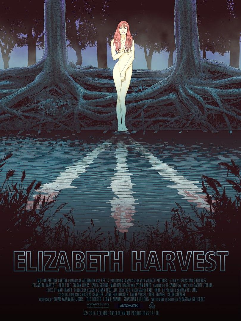 Постер фильма Элизабет Харвест | Elizabeth Harvest 