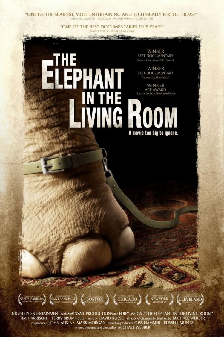 Постер фильма Слон в комнате | Elephant in the Living Room