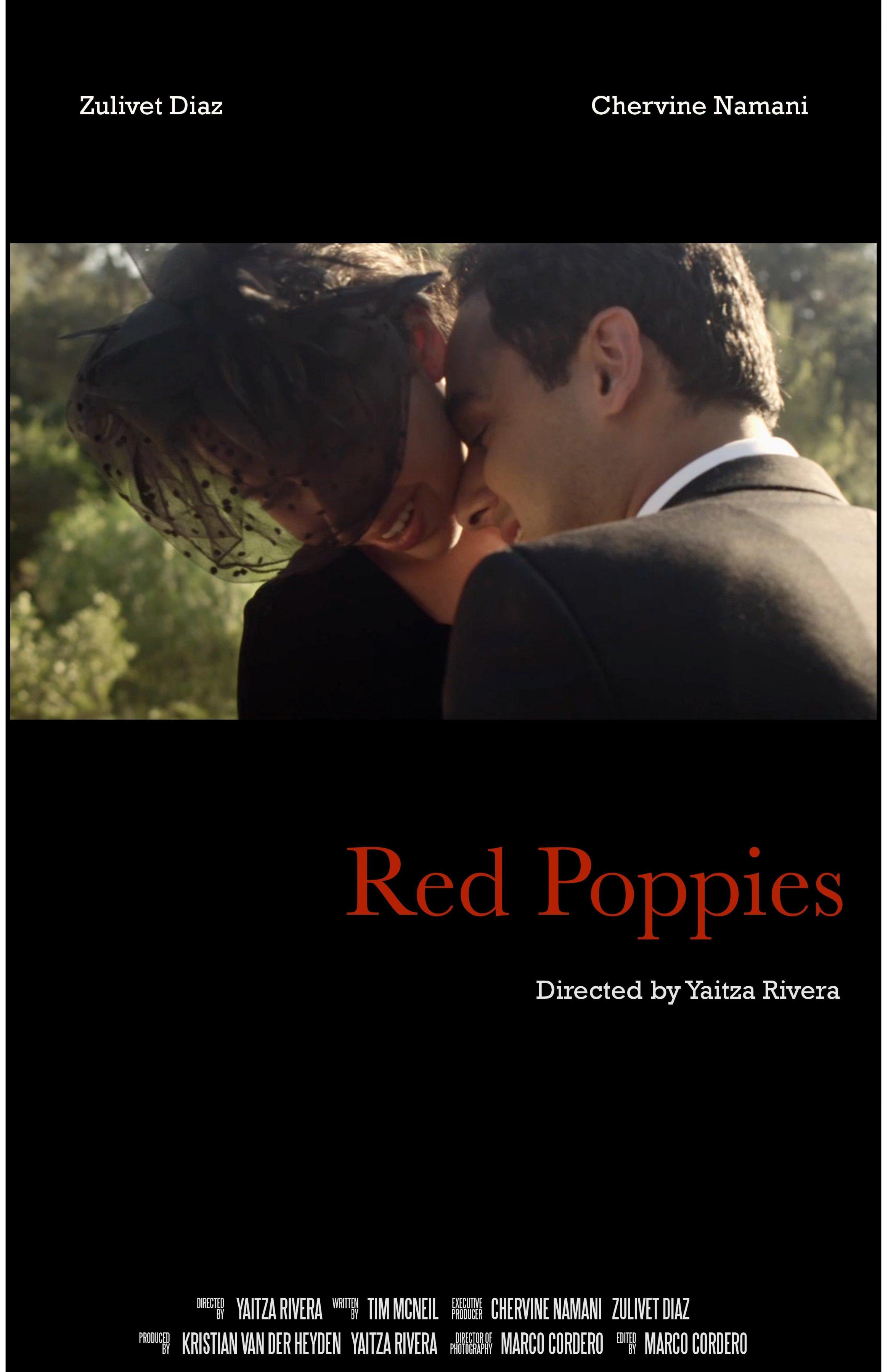 Постер фильма Red Poppies
