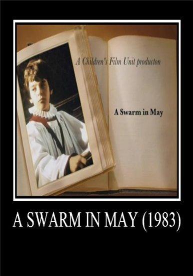 Постер фильма Swarm in May
