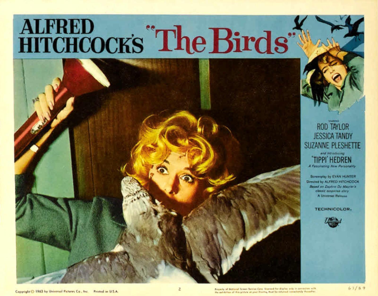 Постер фильма Птицы | Birds