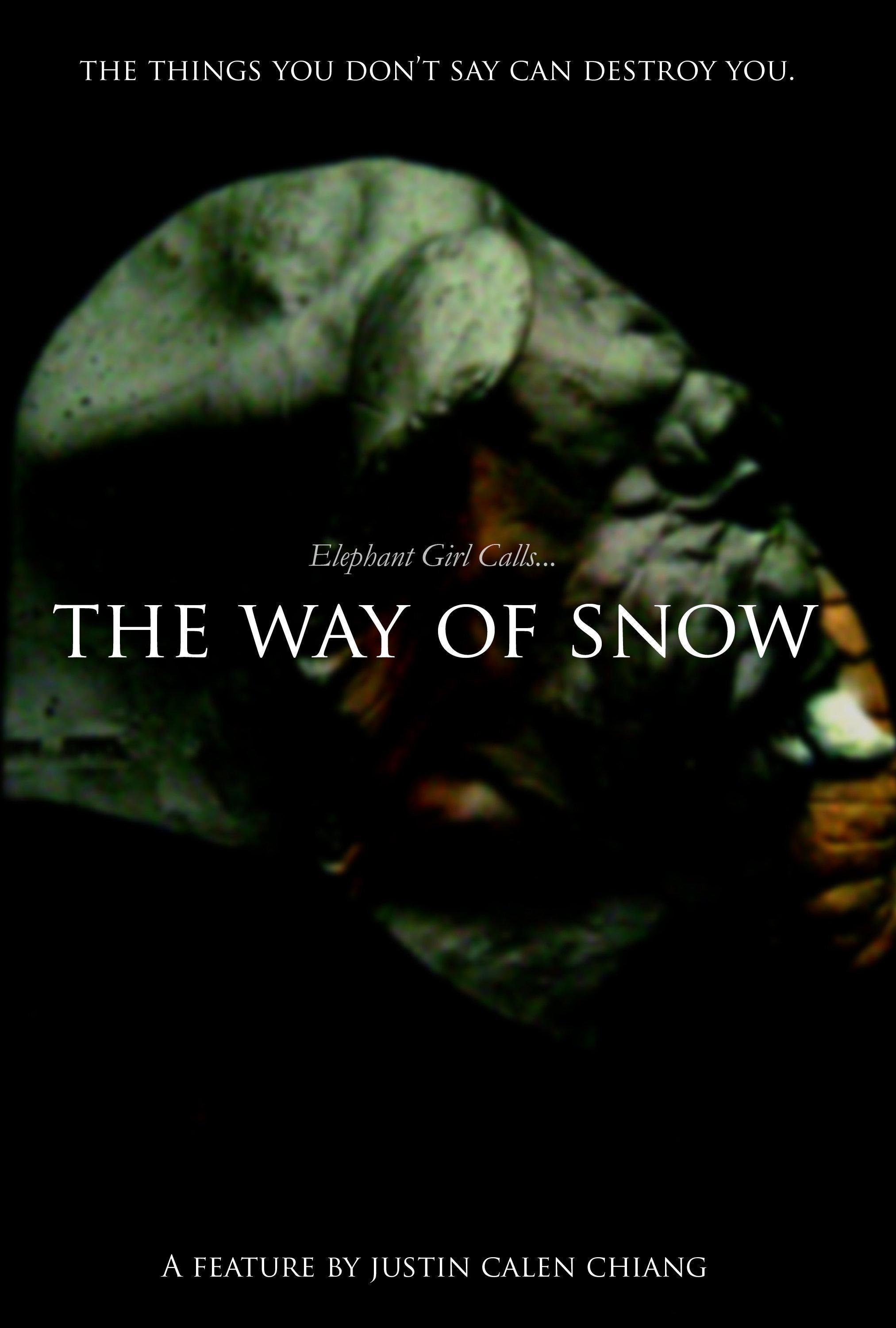 Постер фильма Way of Snow