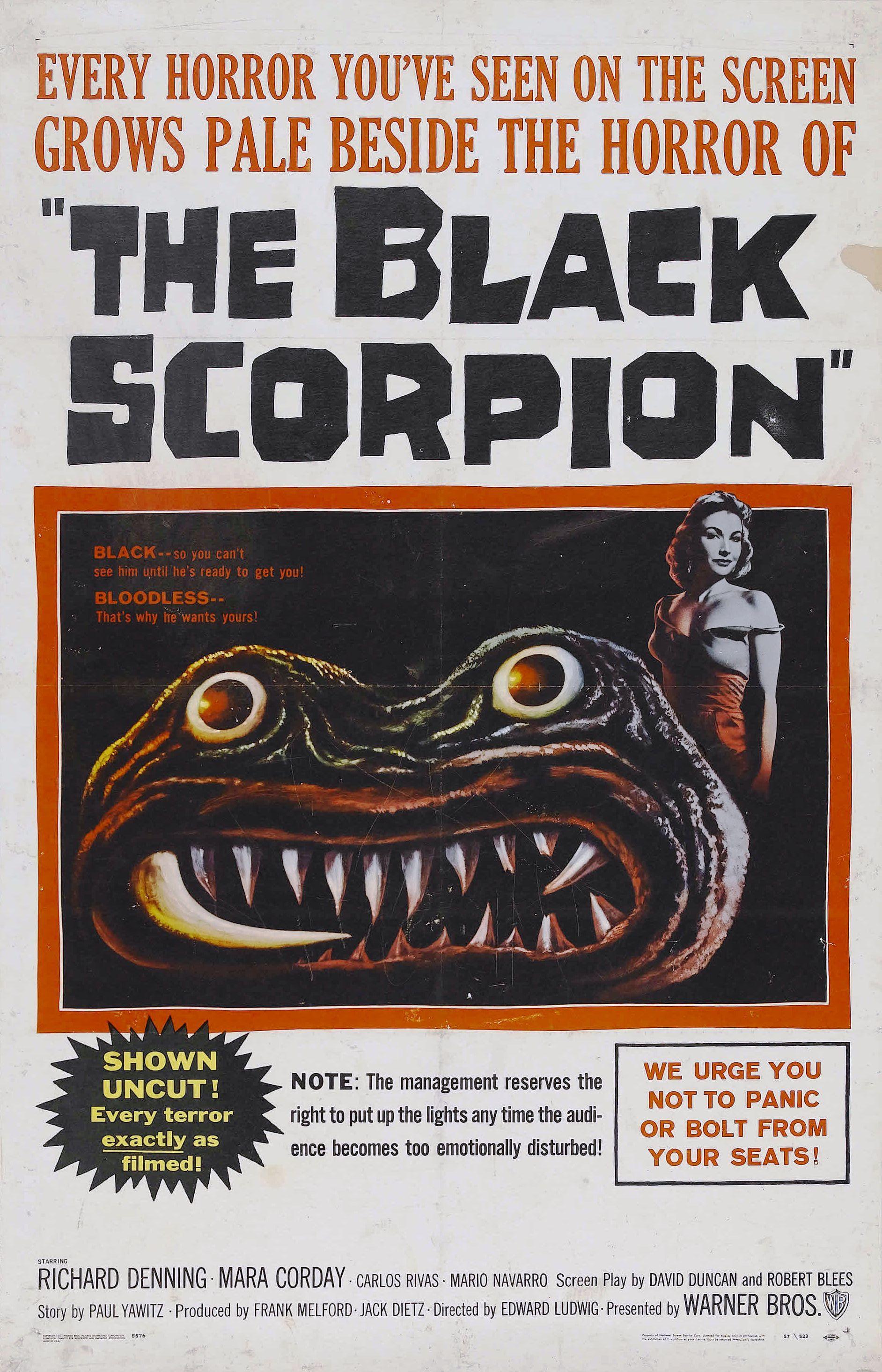 Постер фильма Черный скорпион | Black Scorpion