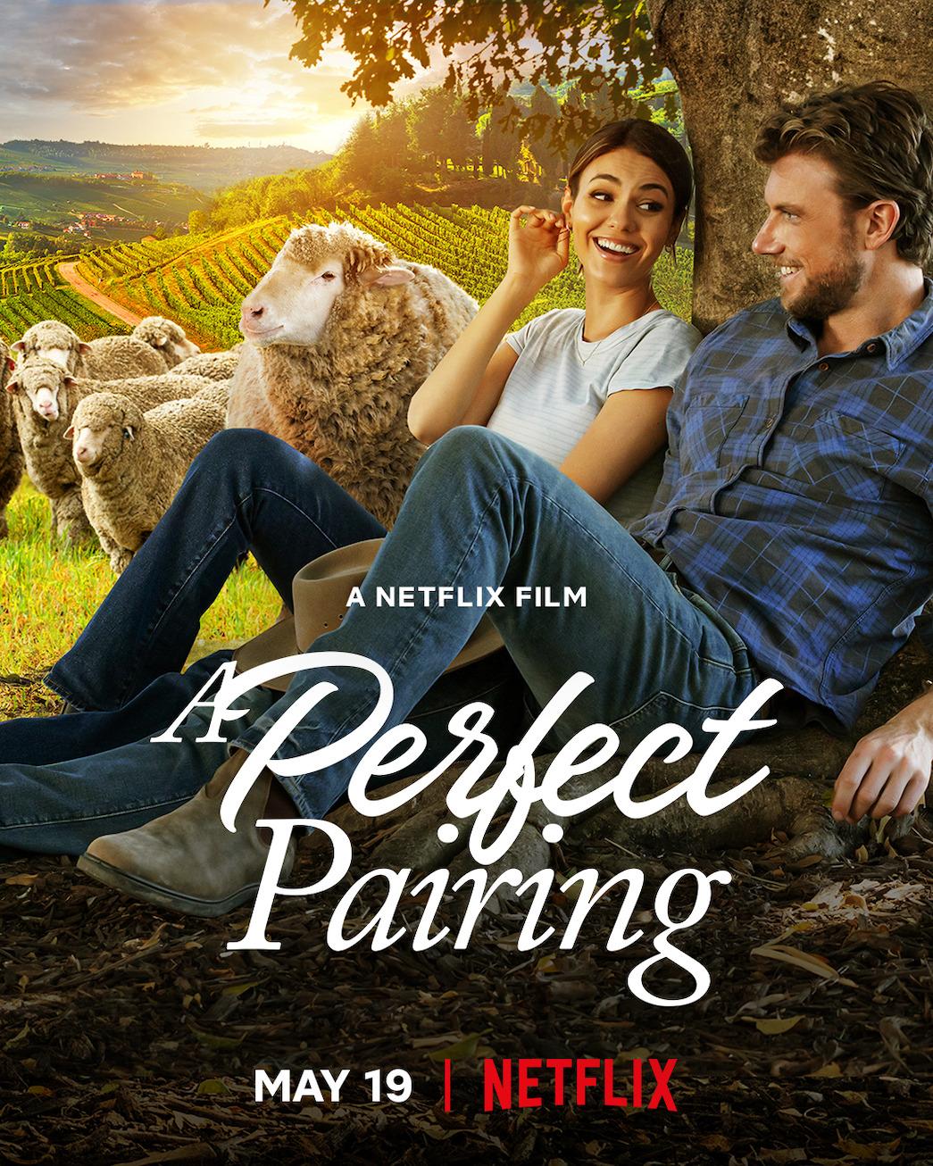Постер фильма Идеальное сочетание | A Perfect Pairing