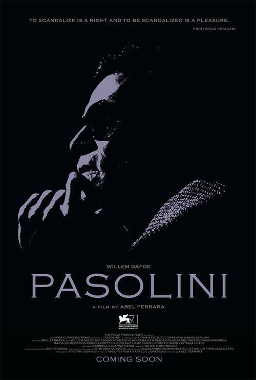 Постер фильма Пазолини | Pasolini