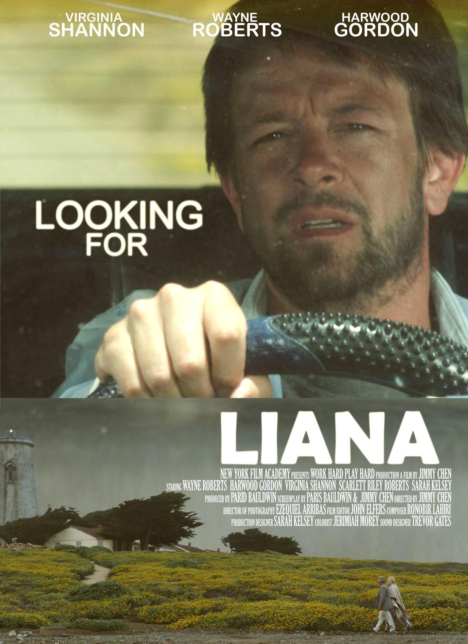 Постер фильма Looking for Liana