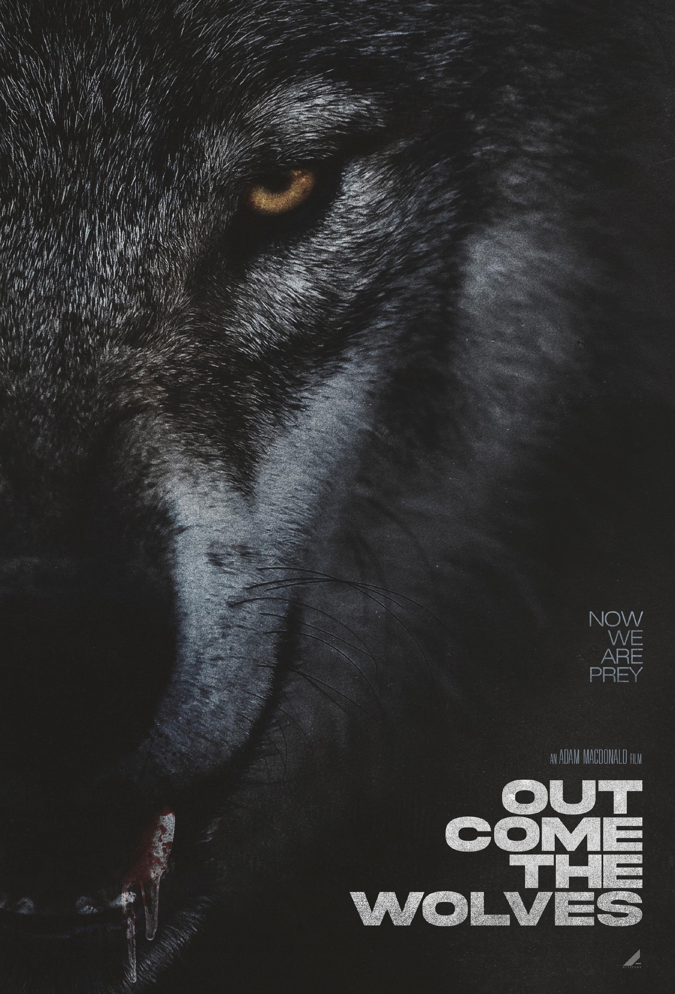 Постер фильма И пришли волки | Out Come the Wolves