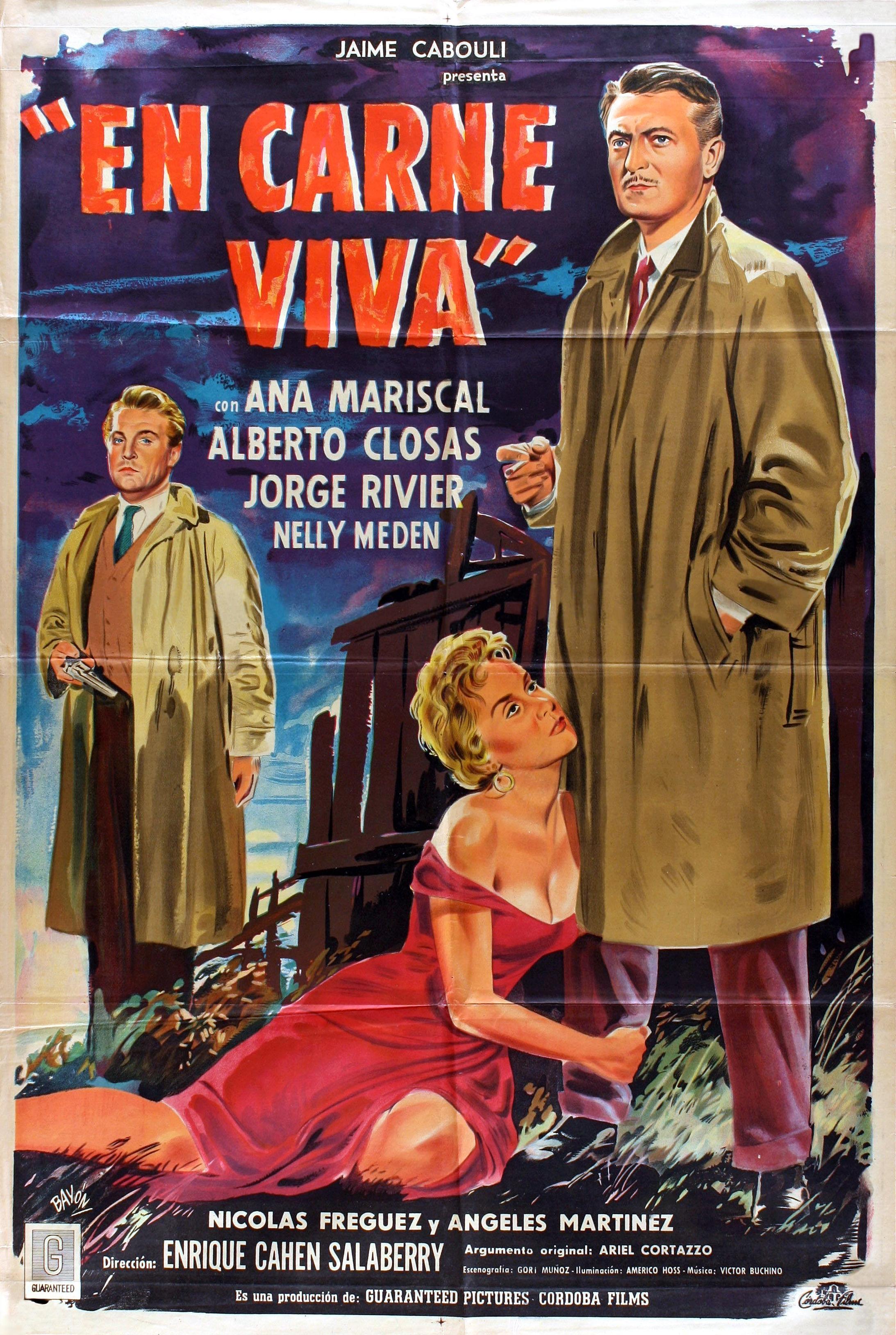 Постер фильма En carne viva