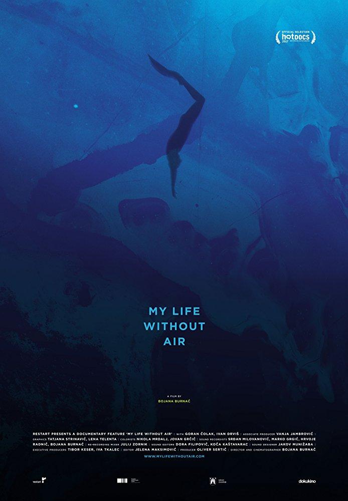 Постер фильма My Life Without Air 