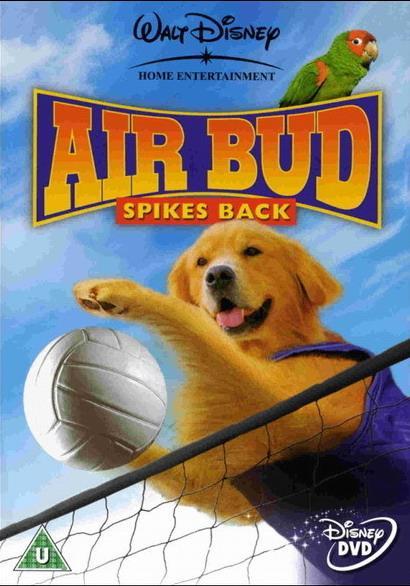 Постер фильма Король воздуха: Возвращение | Air Bud: Spikes Back