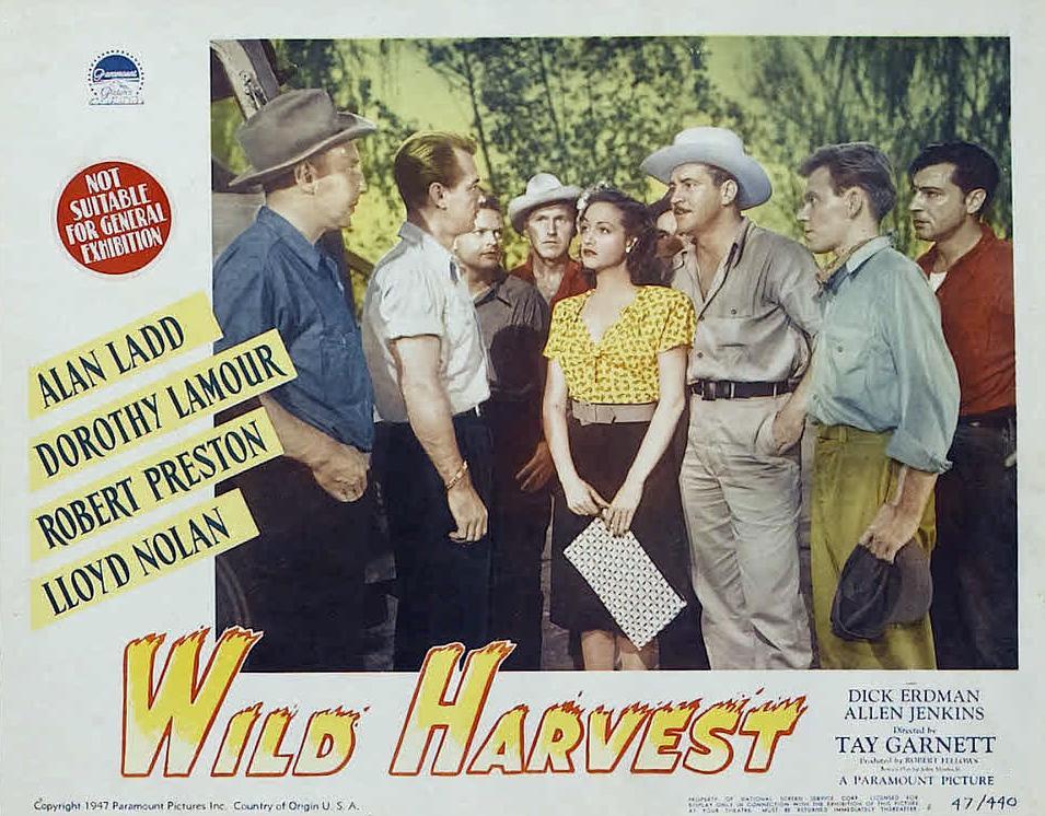 Постер фильма Wild Harvest