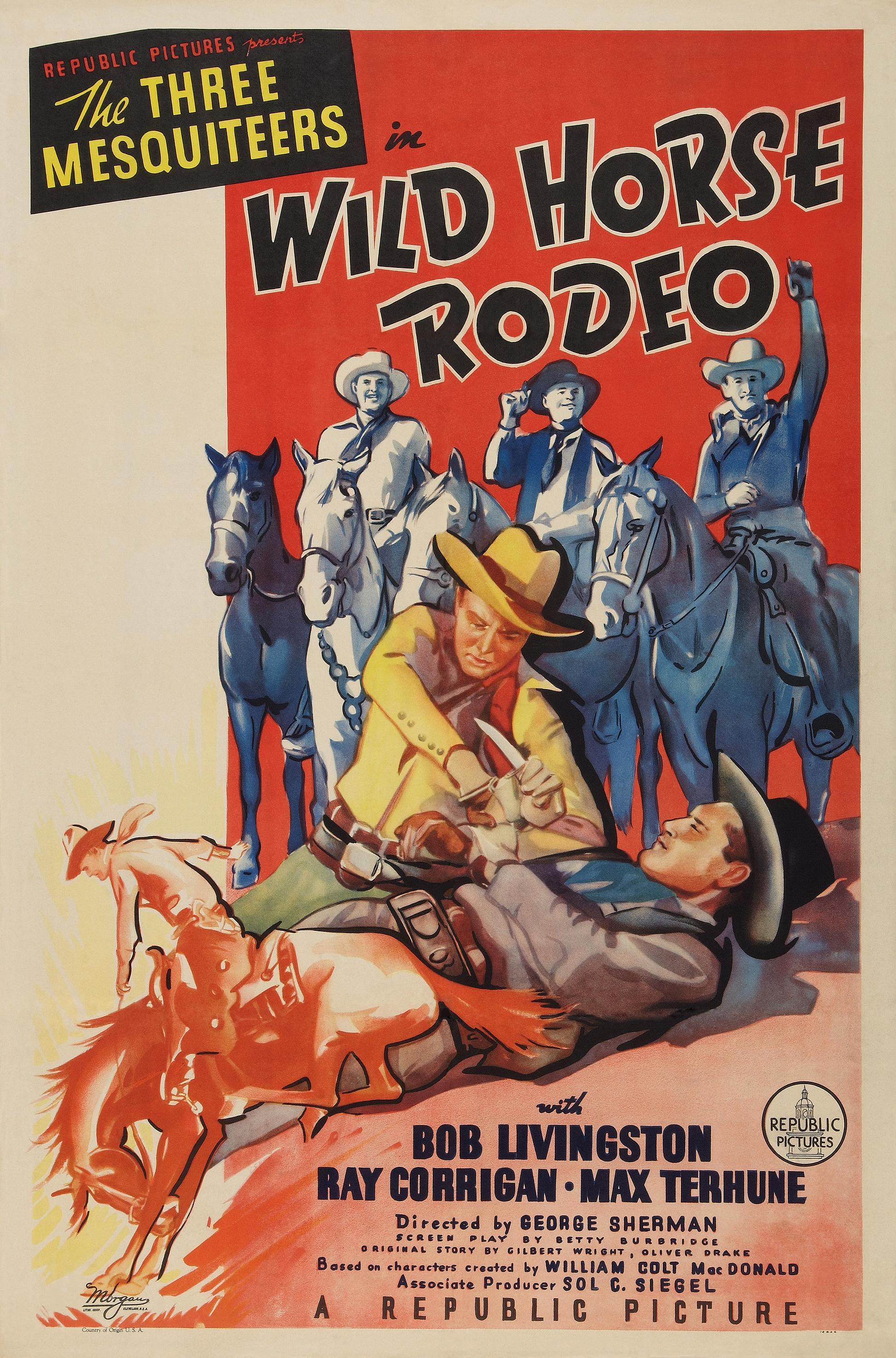 Постер фильма Wild Horse Rodeo