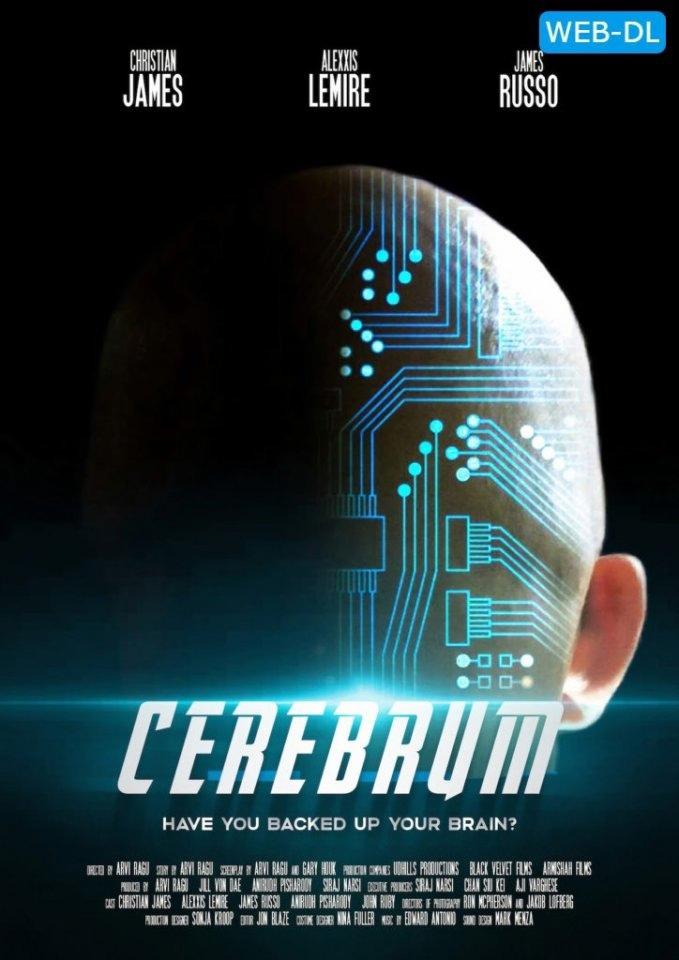 Постер фильма Мозг | Cerebrum