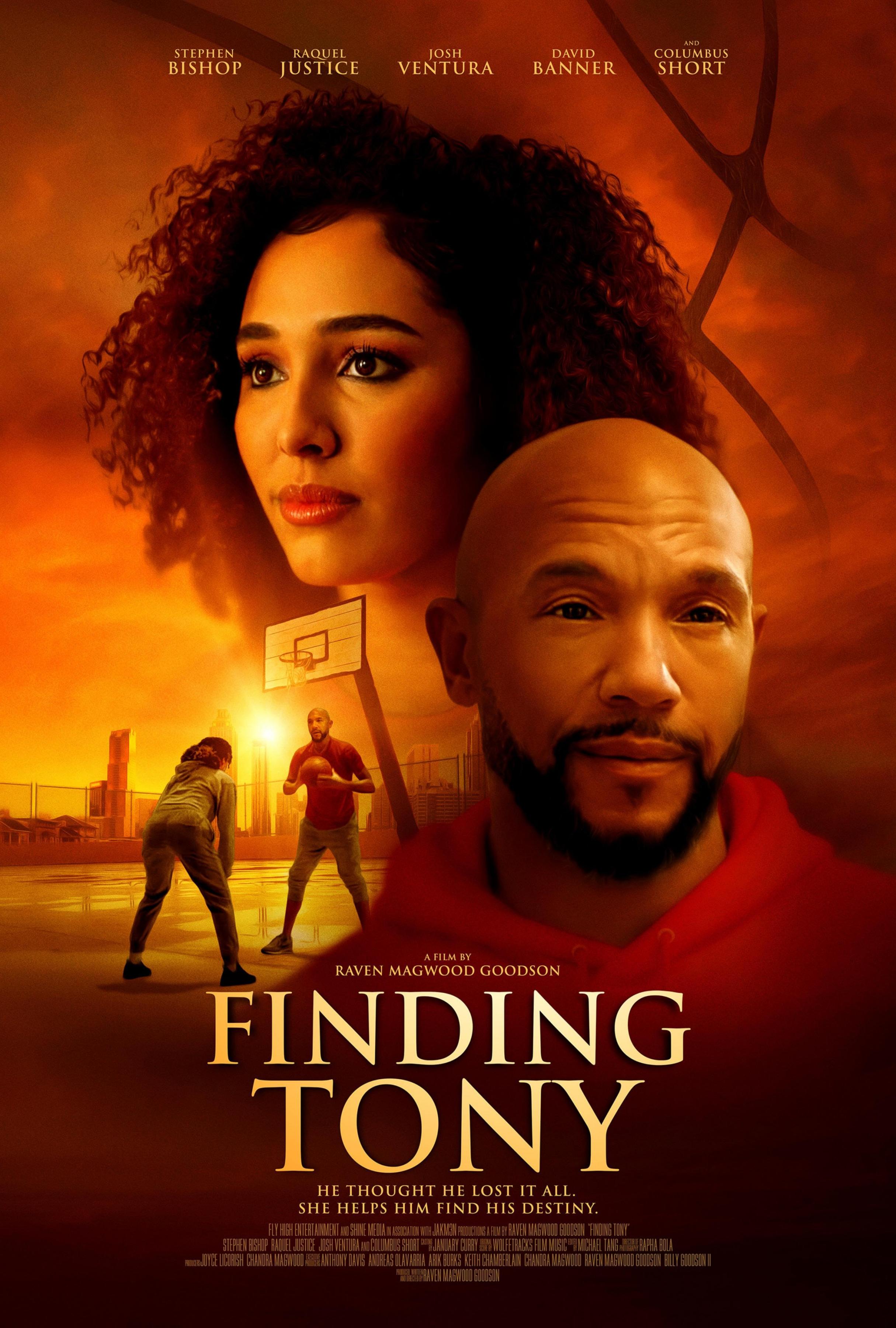 Постер фильма В поисках Тони | Finding Tony