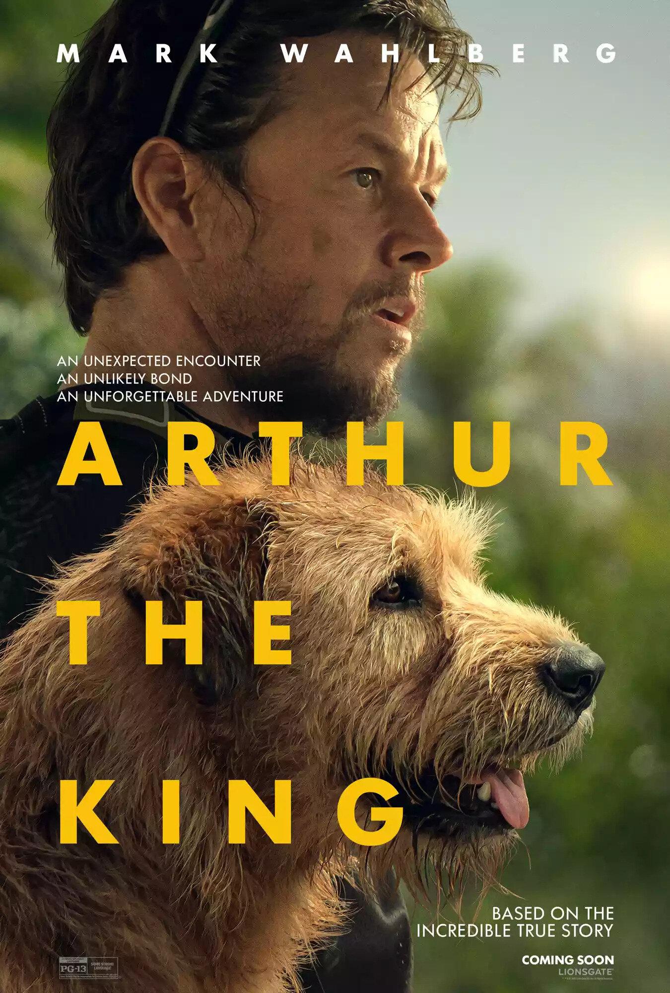 Постер фильма Артур — ты король | Arthur the King