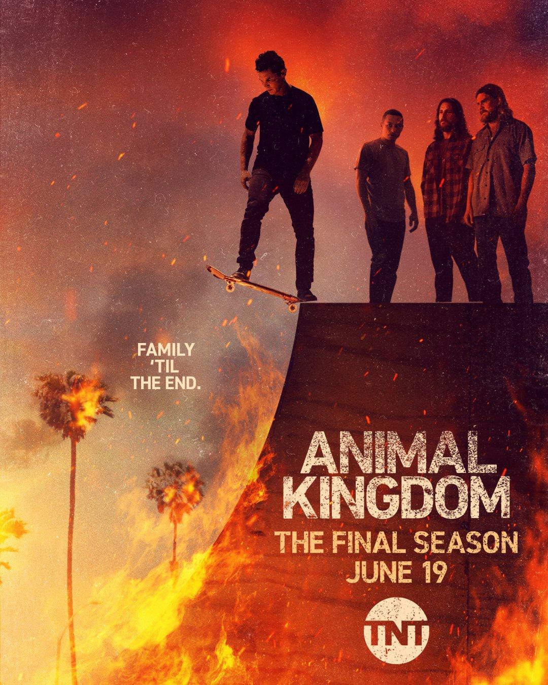 Постер фильма По волчьим законам | Animal Kingdom
