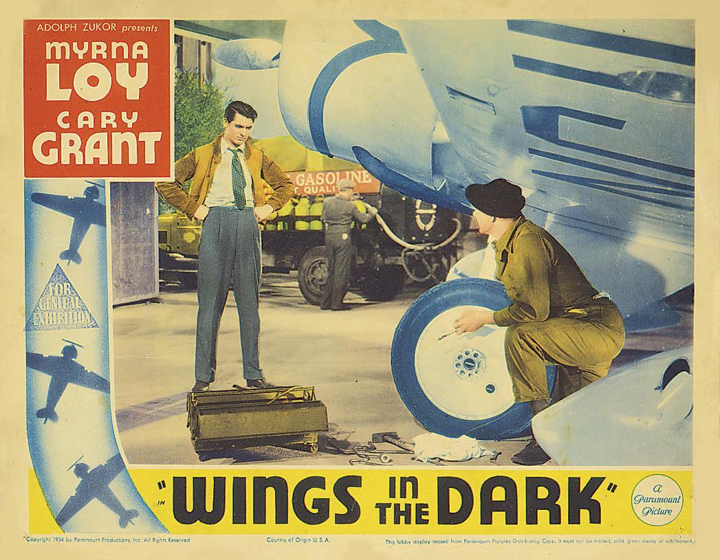 Постер фильма Крылья во тьме | Wings in the Dark