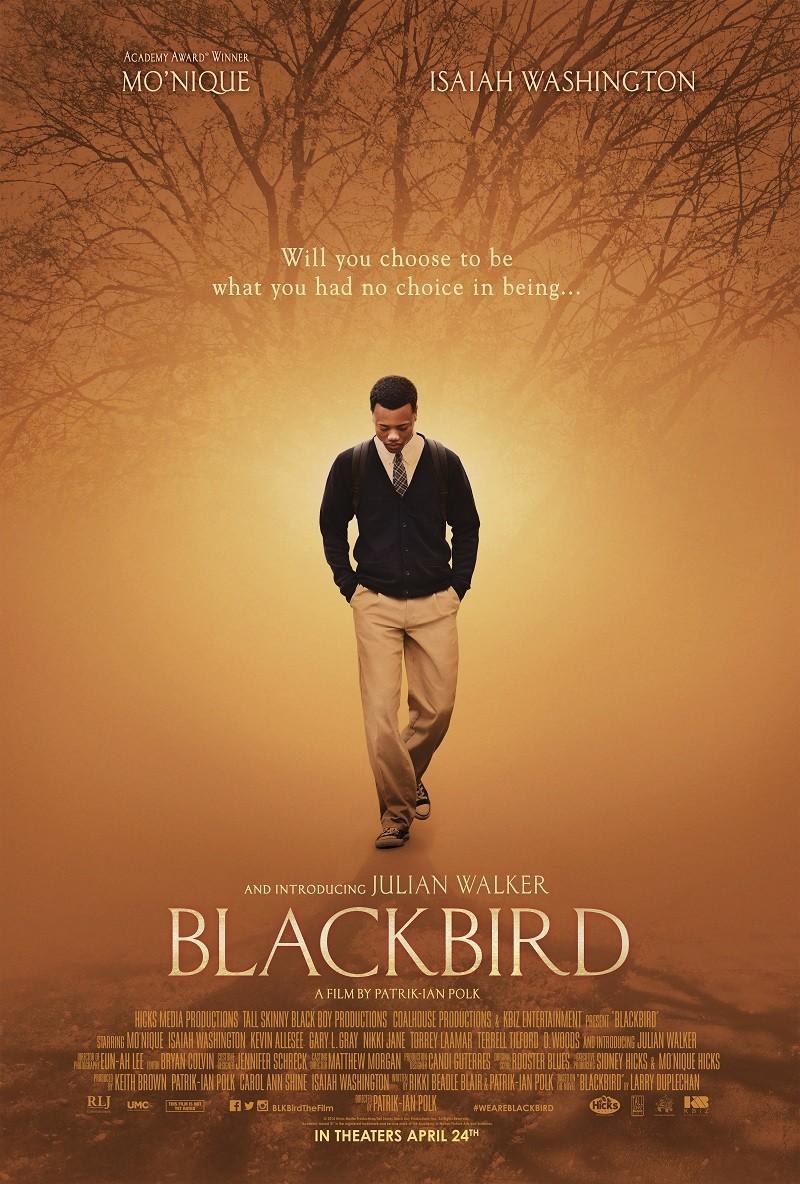 Постер фильма Blackbird